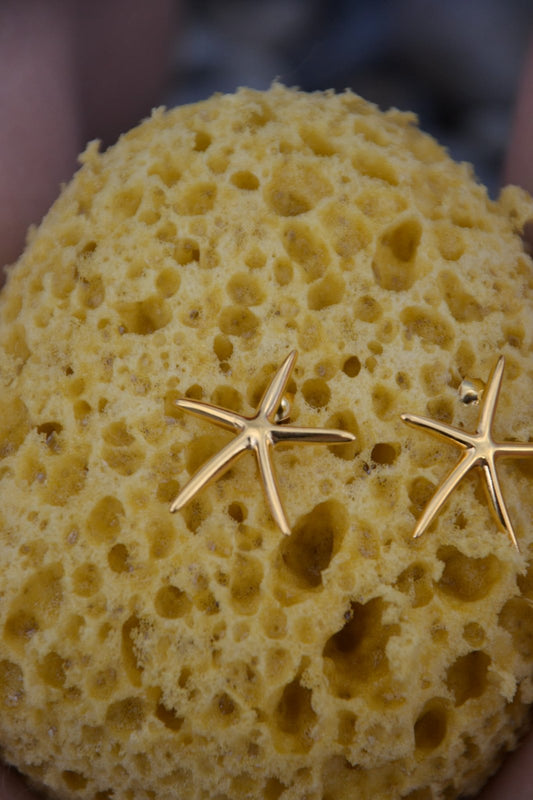 Boucles d'oreilles Astérias