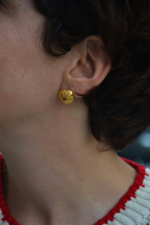 Boucles d'oreilles Ahinos