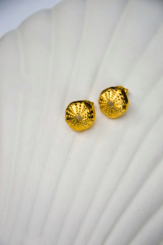 Boucles d'oreilles Ahinos