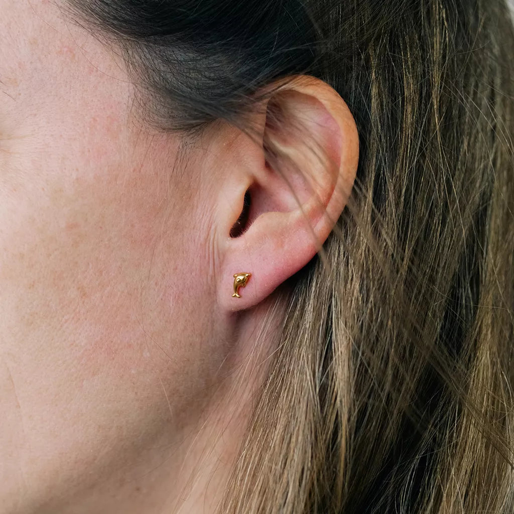 Puces d'oreilles Dauphin